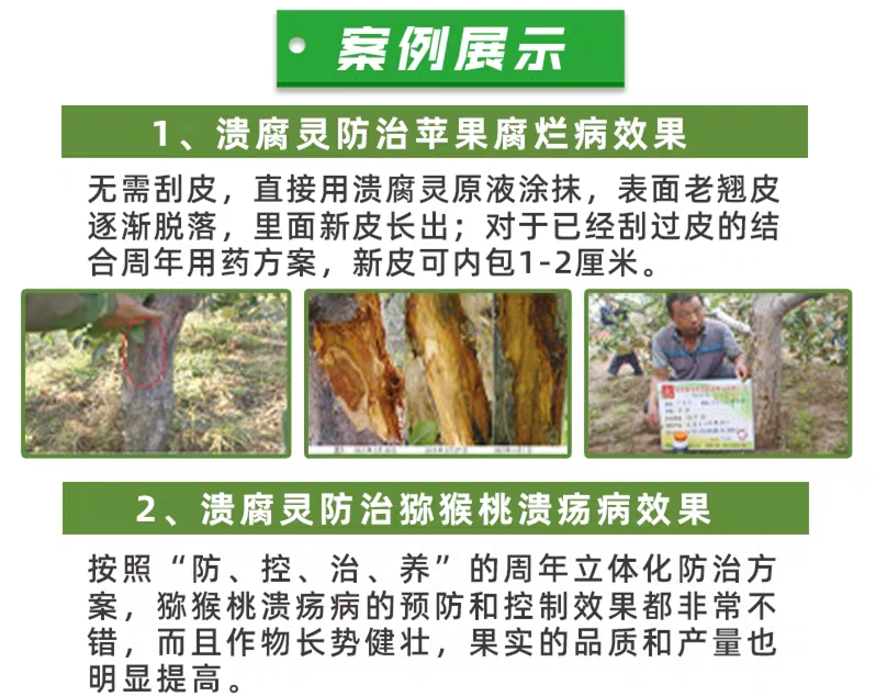 奥丰小檗碱溃腐灵流胶病溃疡病腐烂病枝干病害专用清园修复伤口