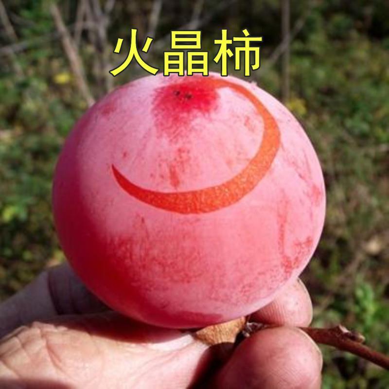 ƽػ 磬ߺùϱֲ