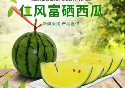 济南 正宗黄壤富硒西瓜（团购/批发/网购零售）
