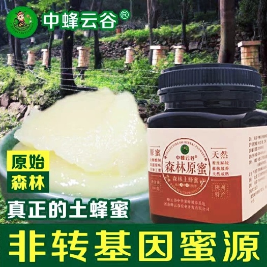 郑州 土蜂蜜  正宗蜂云谷原始森林土蜂蜜