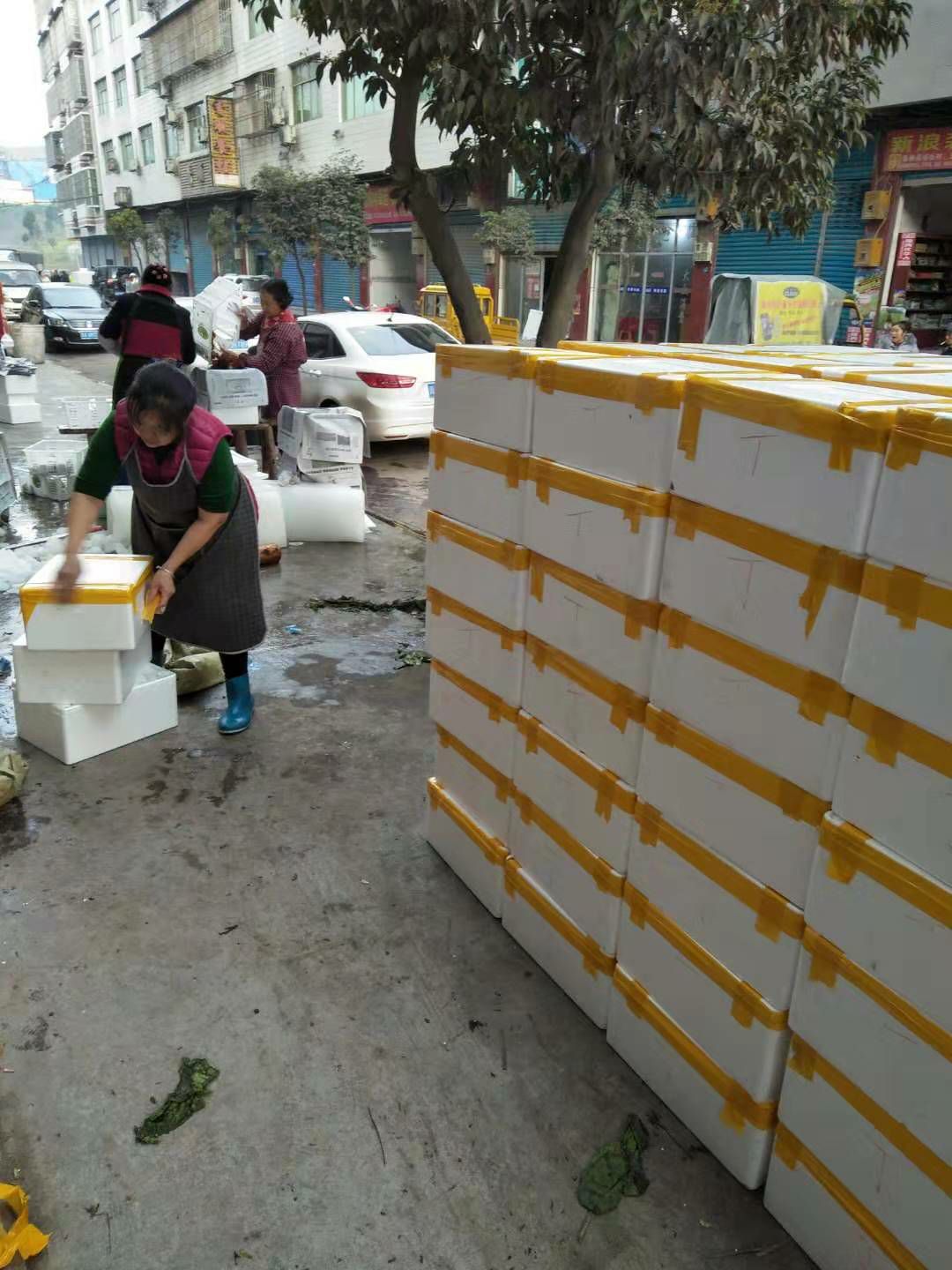 红油香椿芽即将上市，期待新老客户共创辉煌！