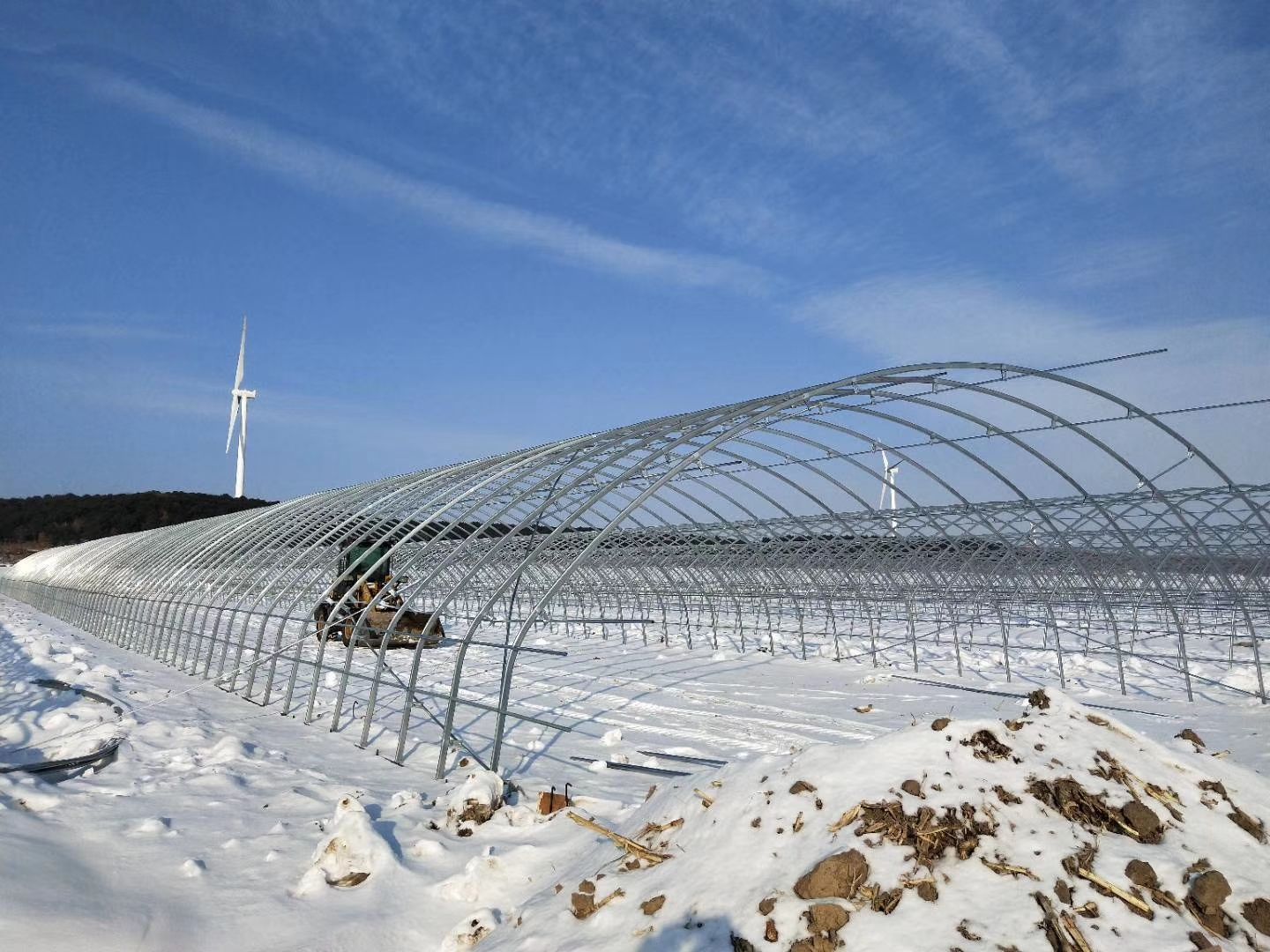 大棚管 蔬菜棚 骨架 圆管骨架  椭圆管骨架时间短 工期快