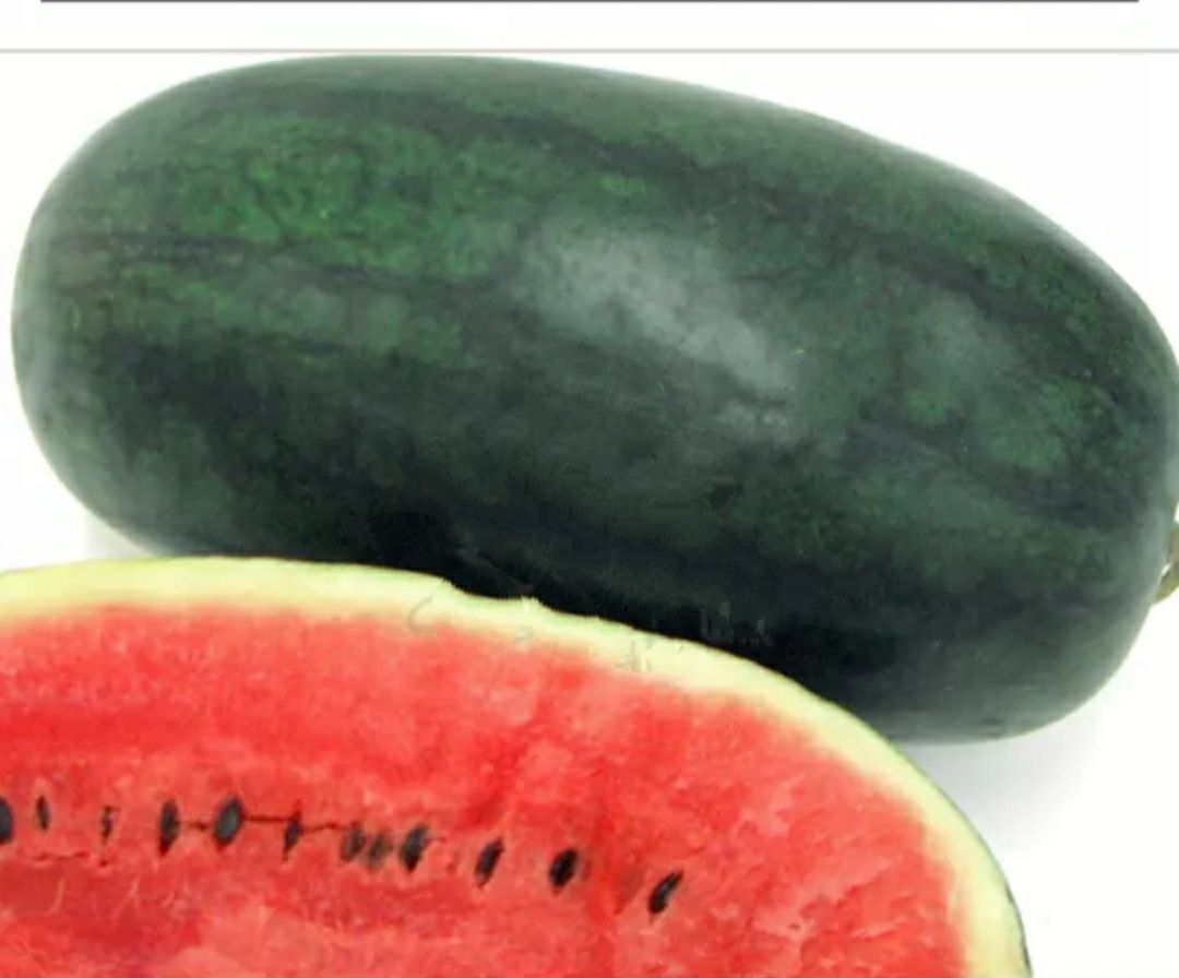黑美人礼品西瓜种子小果型一代杂交长椭圆形墨绿色高糖丰产西瓜种