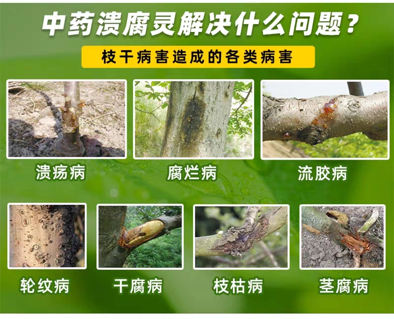 奥丰小檗碱溃腐灵流胶病溃疡病腐烂病枝干病害专用清园修复伤口
