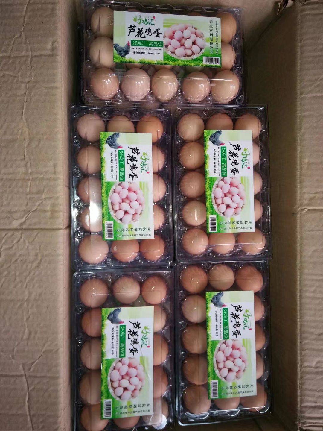  鸡，桂柳鸭苗，桂柳大肉鸭，