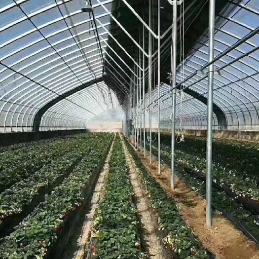 天津热镀锌蔬菜大棚 大棚骨架生产厂家，正在生产大棚骨架欢迎来我厂考察