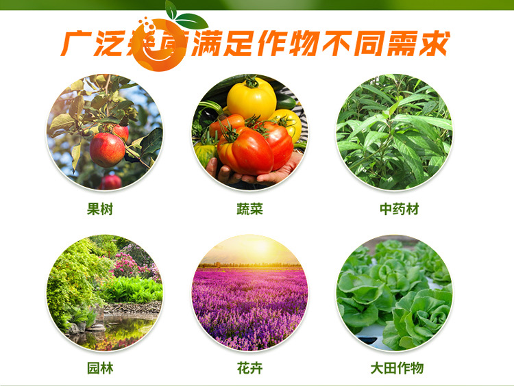 青枯立克魔芋软腐病番茄溃疡病青枯病果树黄化专用潍坊奥丰厂家