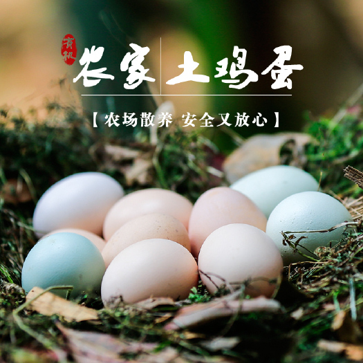北京 正宗农家土鸡蛋