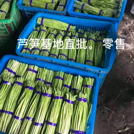 平湖市 綠蘆筍筍大量上需要的聯(lián)系