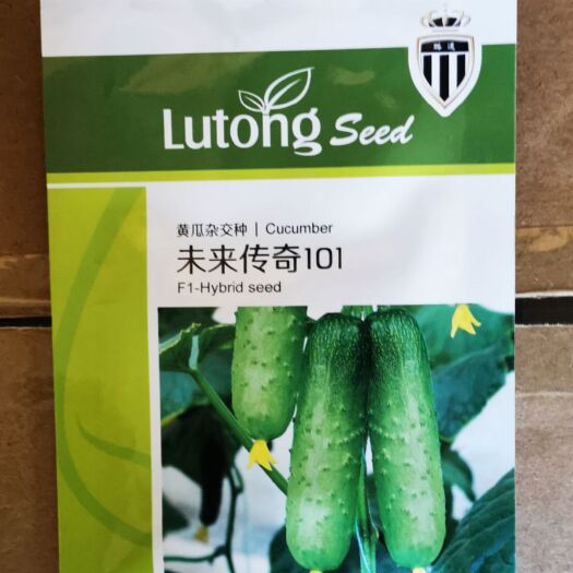 邯郸未来传奇101 黄瓜种子 家庭菜园基地蔬菜种子 水果黄瓜种子