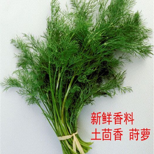  刁草 时罗