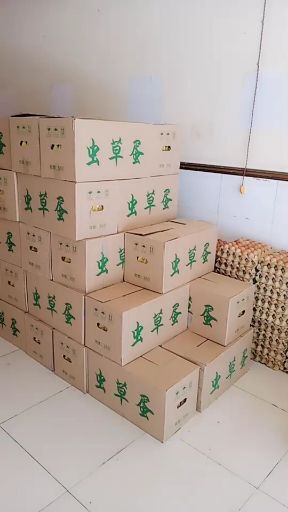 肥西县普通鸡蛋 说的在好 不如 合作一次