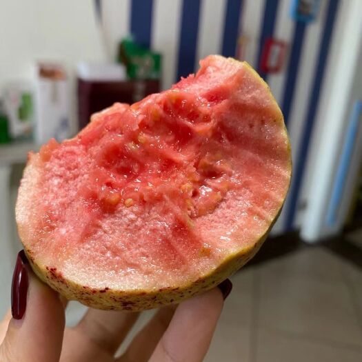 平和县 红心芭乐