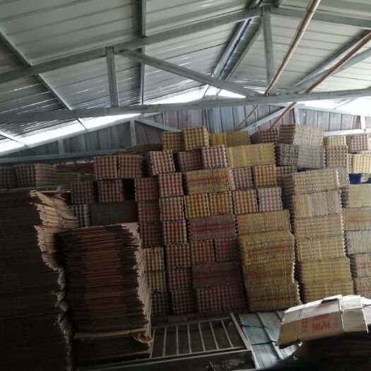 叶县塑料蛋托 出售用过一次的蛋托