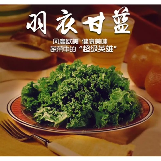 北京 羽衣甘蓝