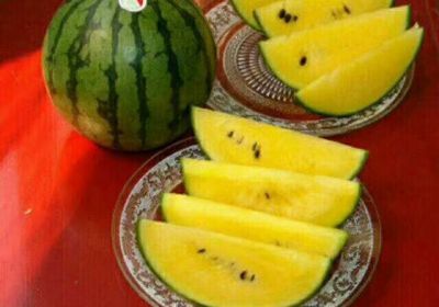 济南 正宗黄壤富硒西瓜（团购批发网购）美味