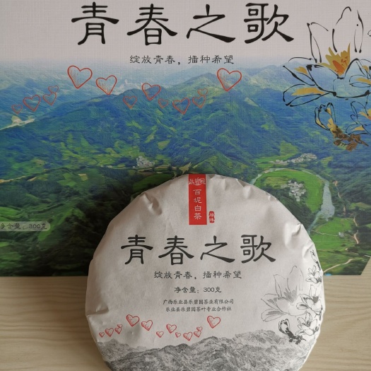 乐业县乐业高山富硒茶 一级 盒装