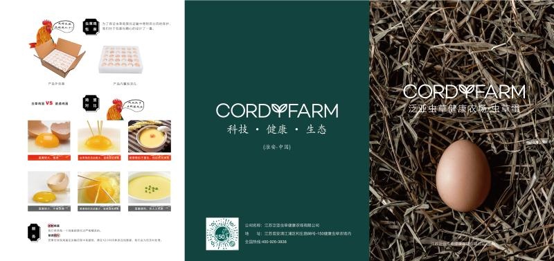 淮安 蝉花虫草鸡蛋(全散养)蝉花虫草饲粮+杂粮喂养安全营养风味独特