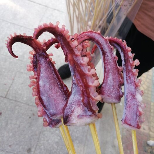 厦门秘鲁鱿鱼