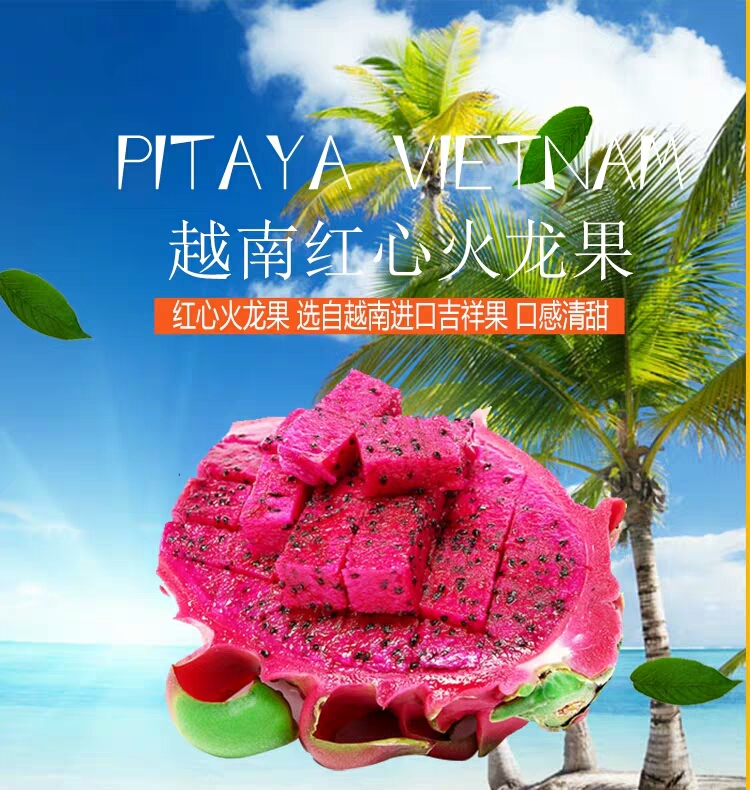 [5斤包邮]现摘红心火龙果新鲜水果特产5斤包邮当季整箱批发