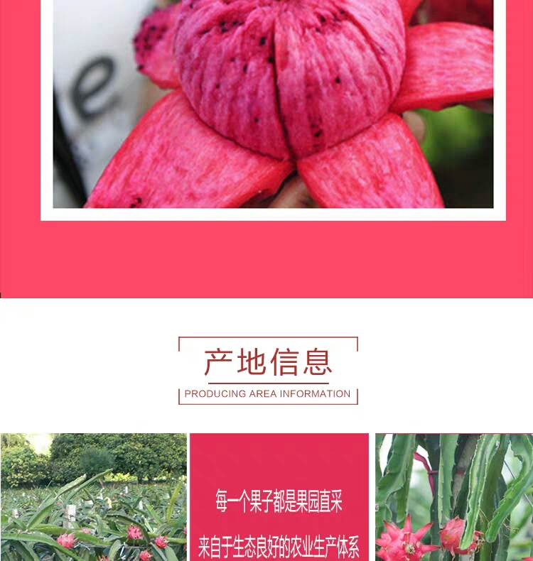 [5斤包邮]现摘红心火龙果新鲜水果特产5斤包邮当季整箱批发