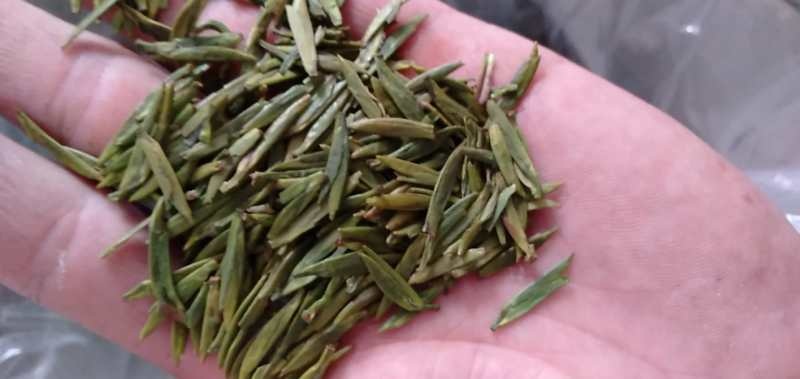 沐川县高山绿茶  春茶独牙