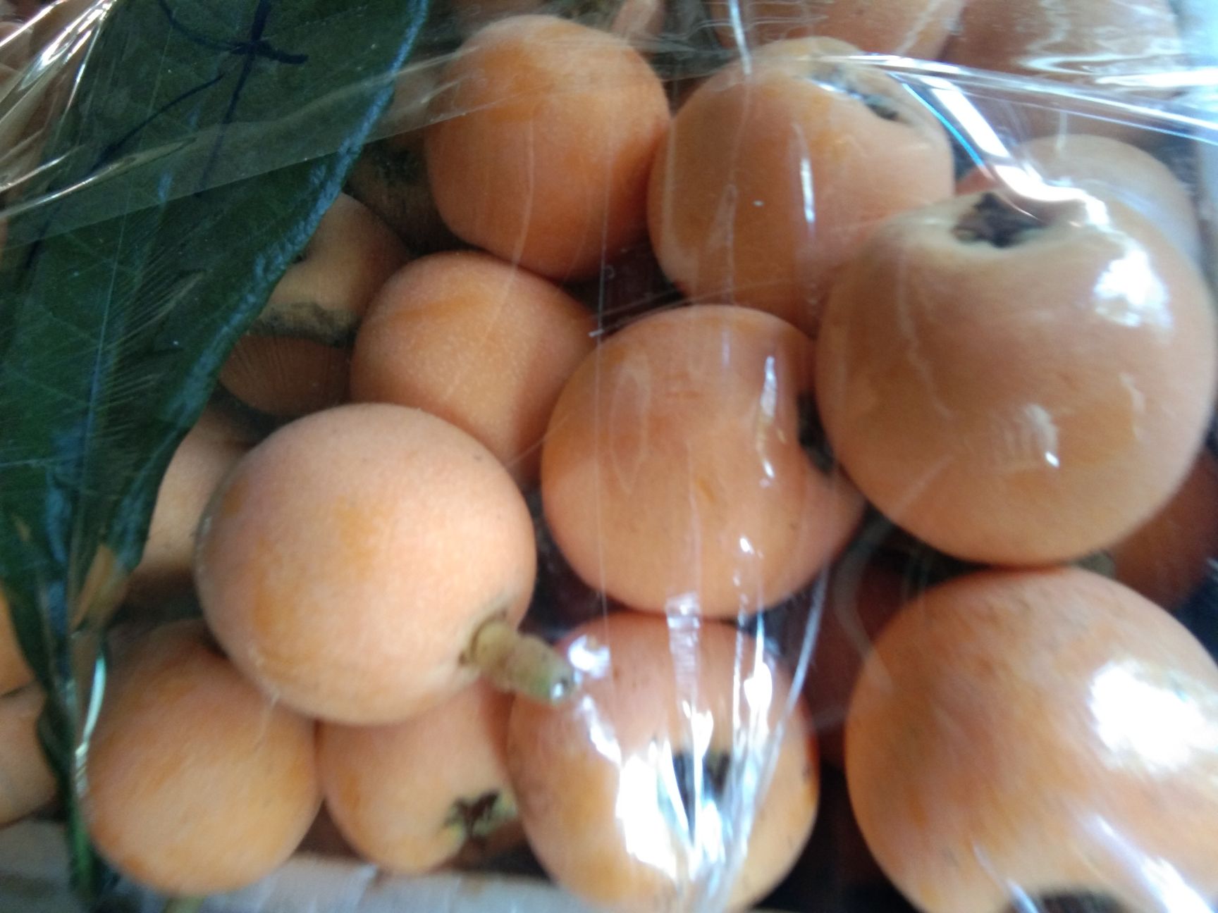 大五星枇杷 味道好果面好