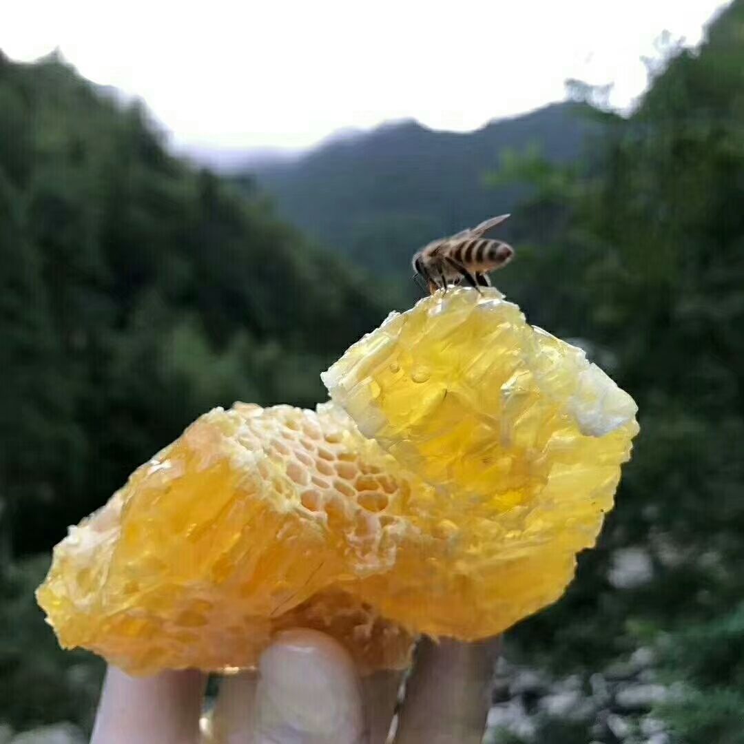  纯蜂蜜！