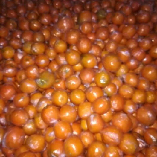 麻阳县纽荷尔脐橙 麻阳纽荷尔挤橙