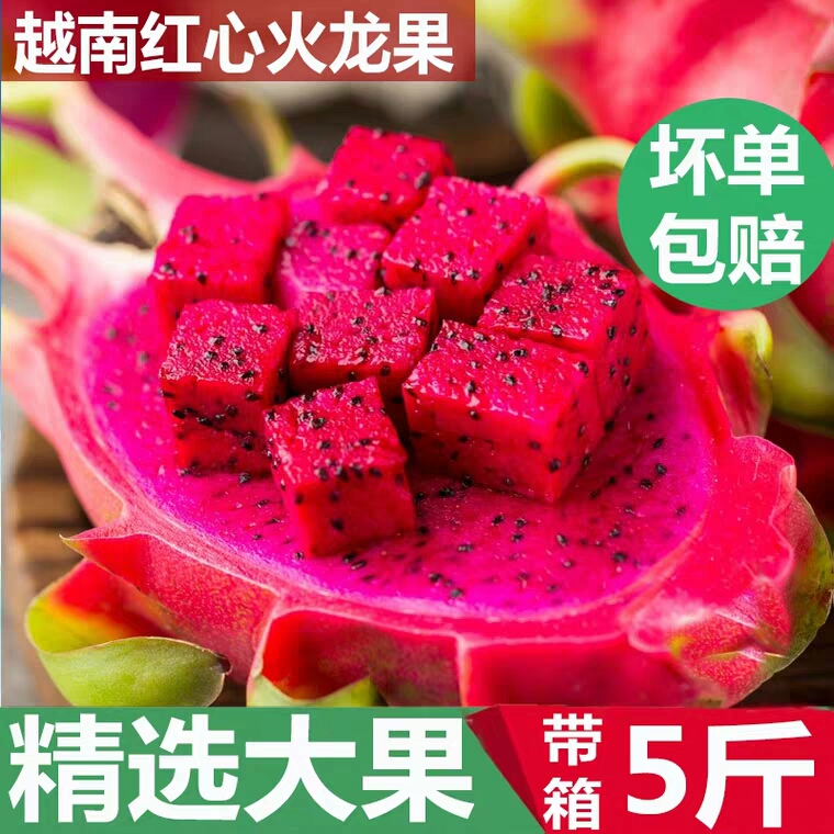[5斤包邮]现摘红心火龙果新鲜水果特产5斤包邮当季整箱批发