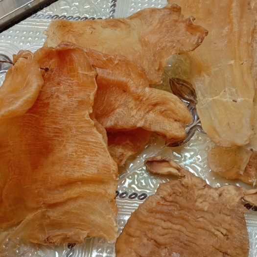 惠来县鳗鱼胶 新鲜鱼胶