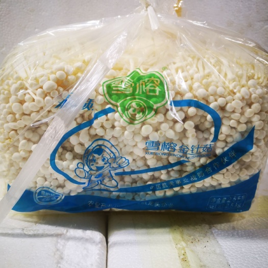 深圳 雪榕A级金针菇