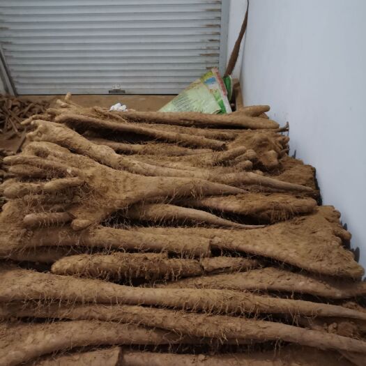 邢台佛手山药  邢台日本白白玉山药口感湿面，好吃不贵