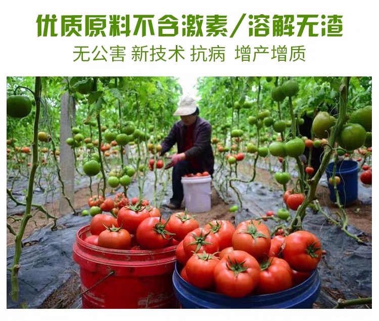 大量元素水溶肥  大量元素肥料  平衡的：NPK20-20-