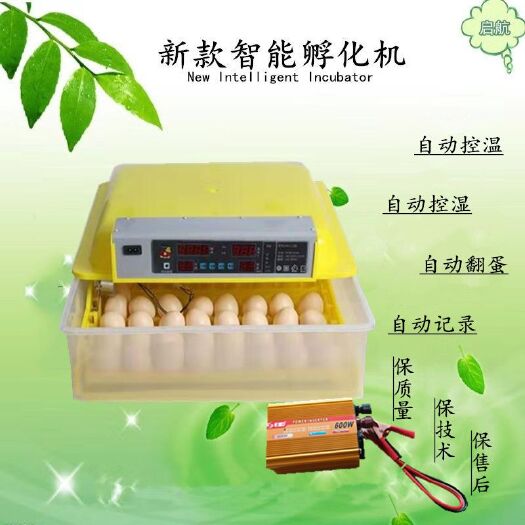 德州养殖设备  家用小型48枚智能自动孵化器