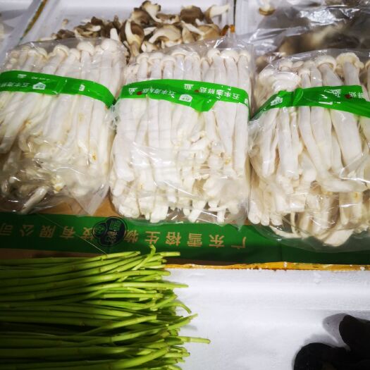 深圳 2斤装40斤/件海鲜菇