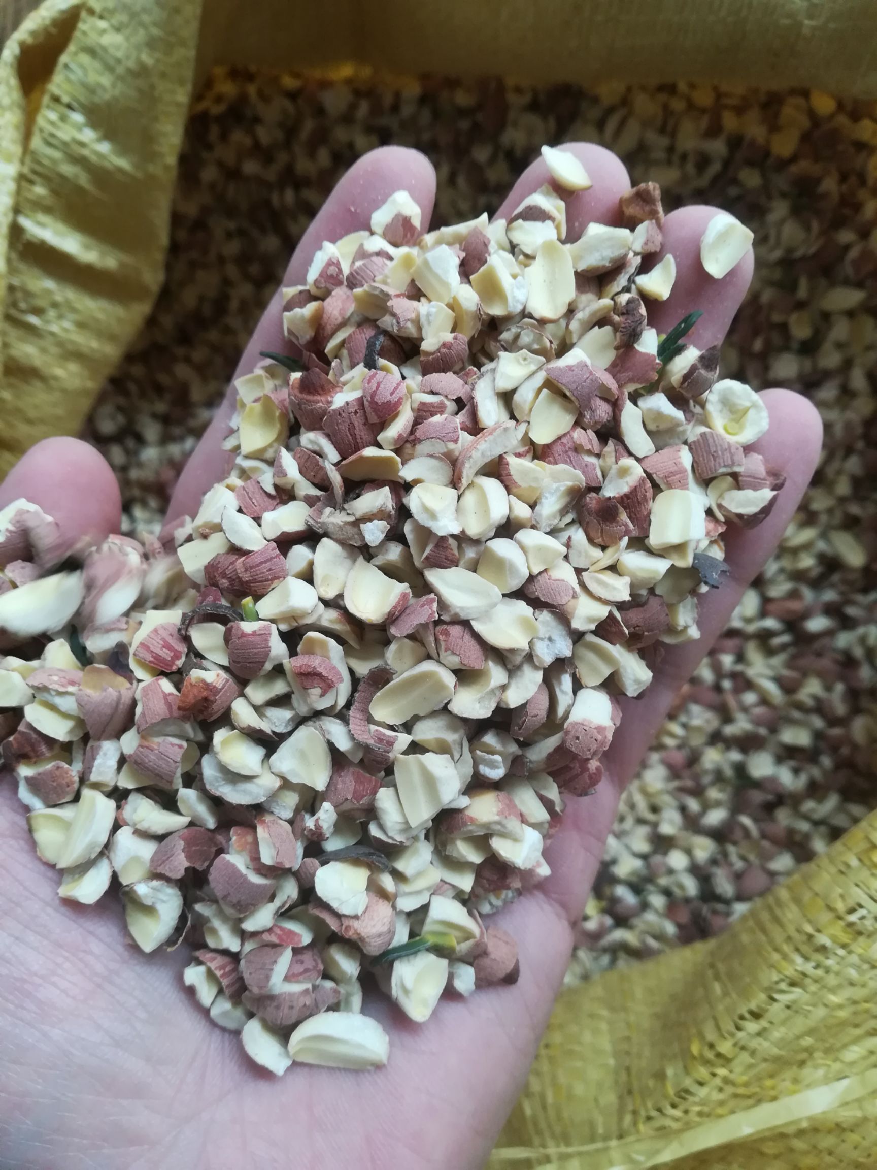 湘莲 碎莲子  干货 磨粉 莲子酒原料 自家工厂直销