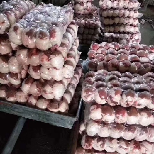 阳信县牛腰 包腰油