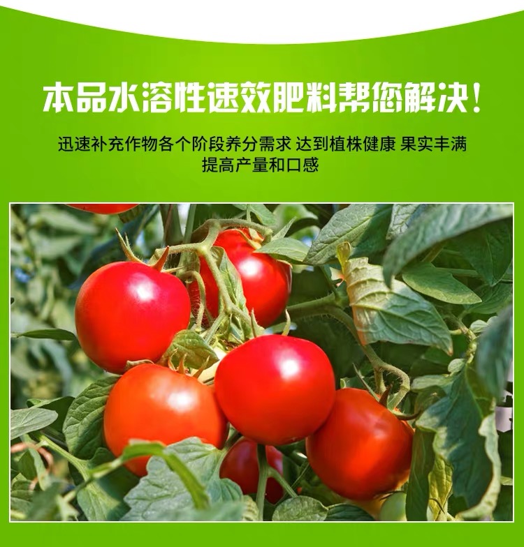 大量元素水溶肥  大量元素肥料  平衡的：NPK20-20-