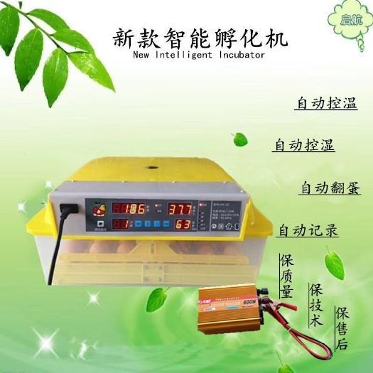 德州养殖孵化机 36枚家用小型智能全自动孵化器