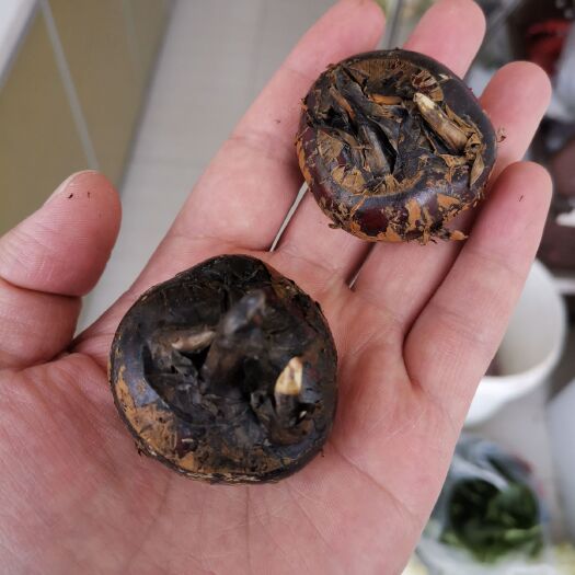 丽水 新鲜的大中号马蹄
