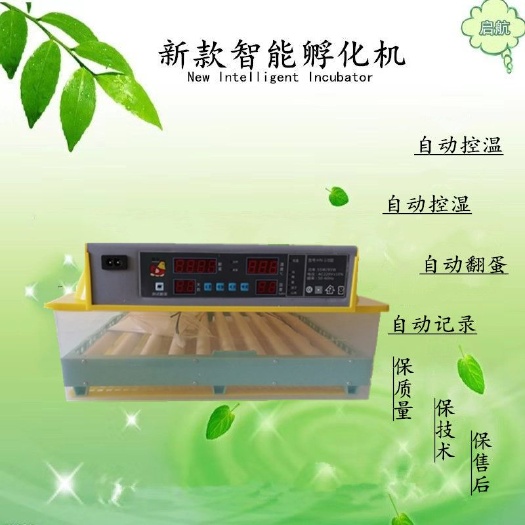 德州养殖孵化机  60枚智能自动小型家用滚轴孵化机