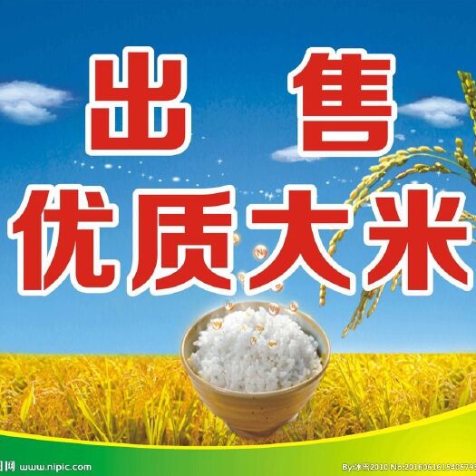 哈尔滨 长粒香大米，可以发零售，味道嘎嘎的10公斤起