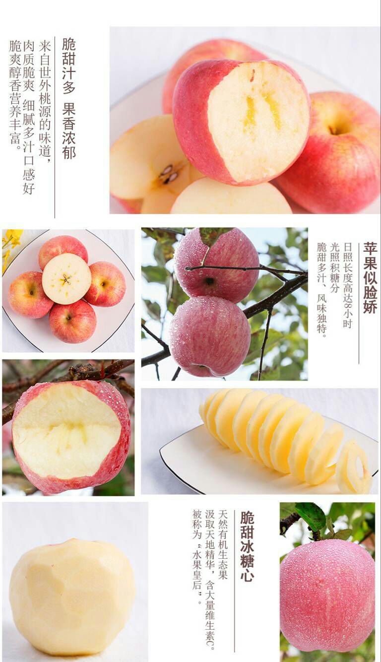 冰糖心苹果 【洛川红富士】新果陕西冰糖心红富士甜心10斤批发
