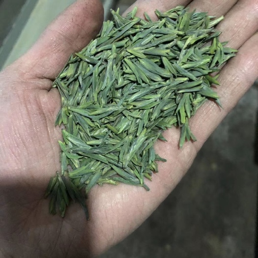 雅安竹叶青茶 蒙顶竹叶青