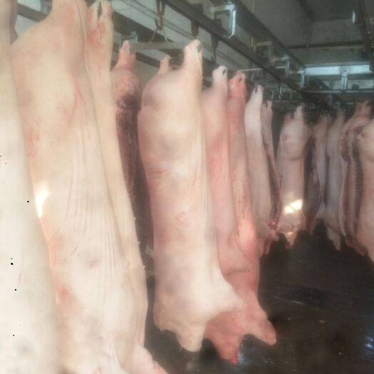平定县 猪肉白条肉，五花肉，前后腿，猪副产品，现货供应。