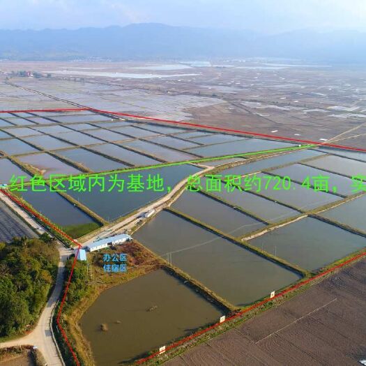 勐海县厂房 云南勐海720亩鱼塘供应（出租）