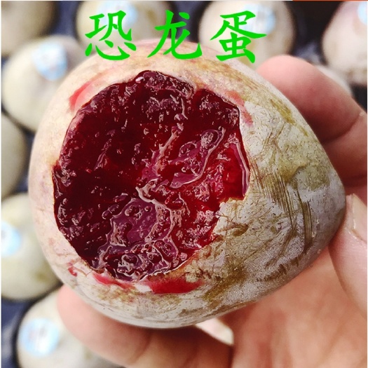 平邑县杏李苗  恐龙蛋李子苗稀少品种质量保证假一赔十