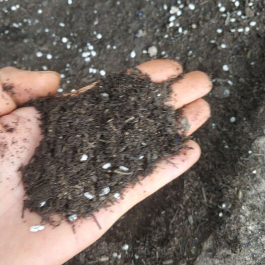 昆明营养土 腐殖土 无土栽培专用土 果树用肥