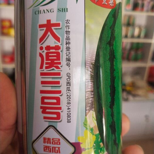 扶沟县懒汉瓜 西瓜种子 大漠三号，大红瓤